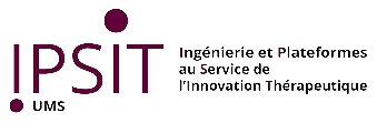 Logo ipsit