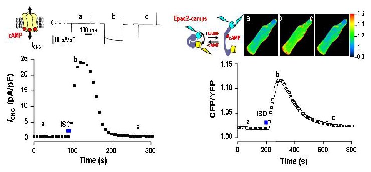 e2-fig2