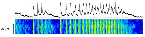 e3-fig2